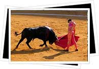 bullfight