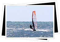 windsurf